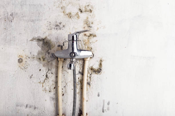 Best Water Damage Restoration  in Gretna, VA