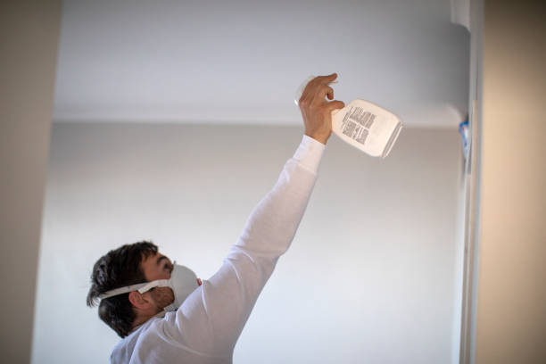 Best Mold Removal Company Near Me  in Gretna, VA