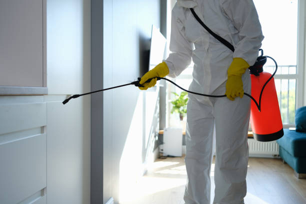 Best Toxic Mold Removal  in Gretna, VA