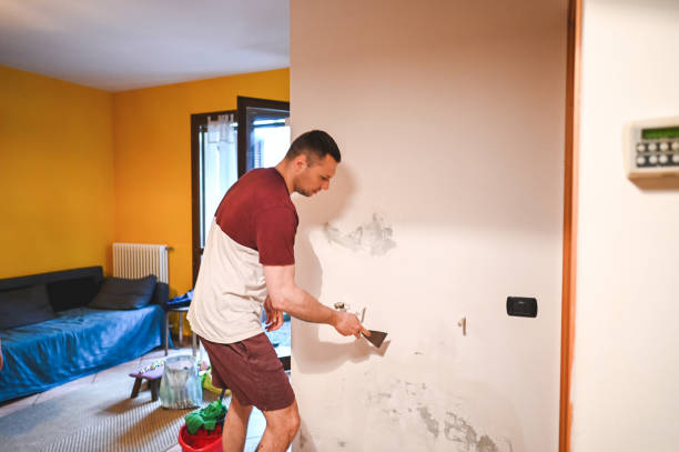 Best Fast Mold Removal  in Gretna, VA