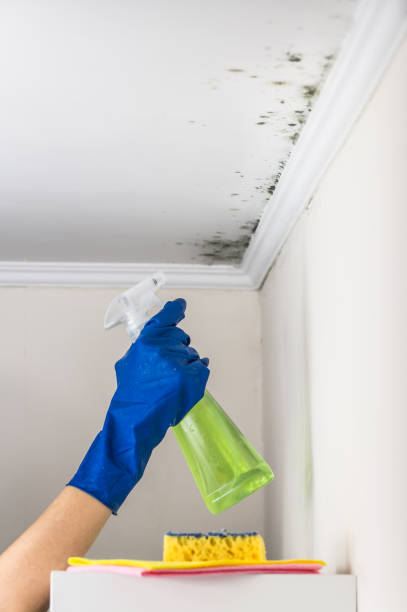 Best Mold Testing  in Gretna, VA